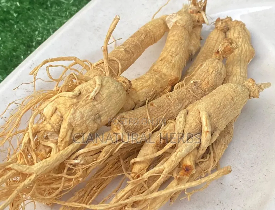 Ginseng Root