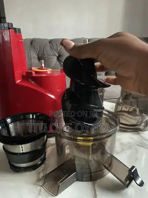 Fruit Juicer