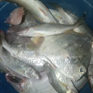 Fish and Crayfish