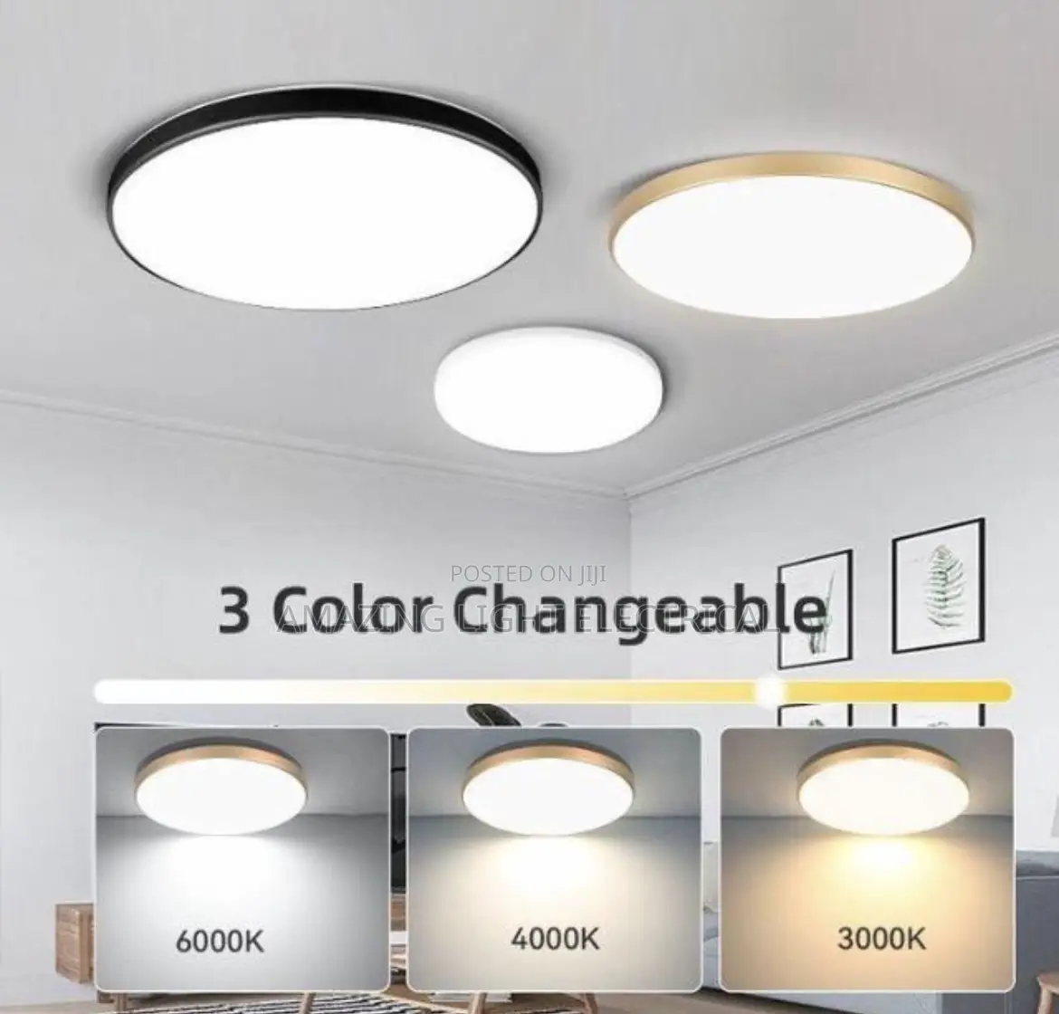 Ceiling Fittings