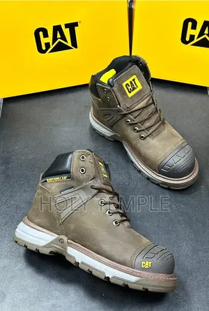 Original Timberland Cat