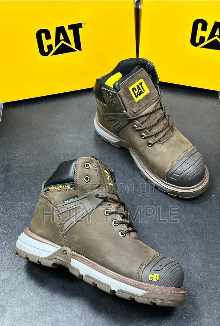 Original Timberland Cat