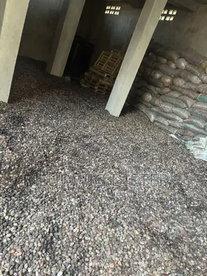 3 Months Old Chickens for Sale
