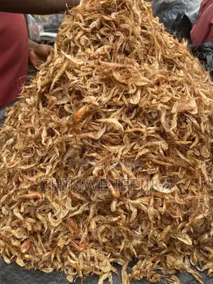 Oron Crayfish