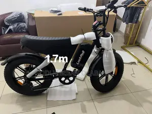 E Bike 48v 25ah 750watts Motor