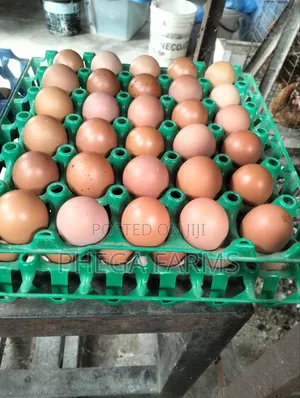 Farm Fresh Eggs