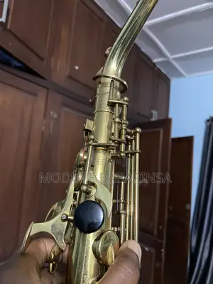 Used Alto Saxophone(Atlantic Pro)