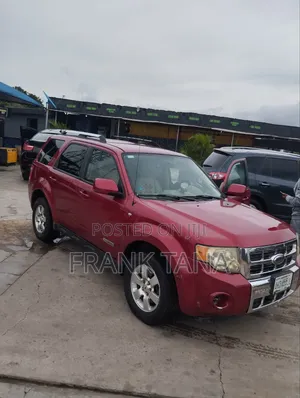 Ford Escape 2008 Purple