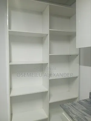 Shelf Cabinet