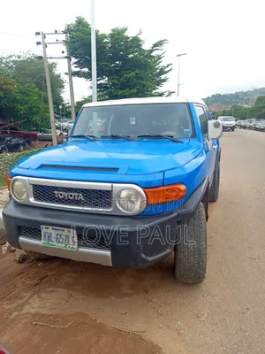 Toyota FJ Cruiser 2008 Blue
