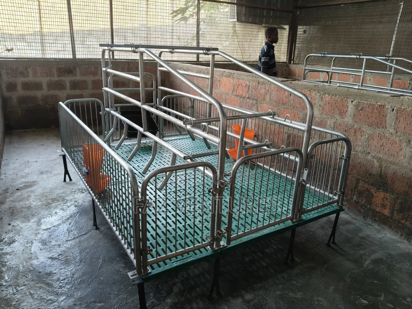 Farrowing Crates - Double Sow/Single