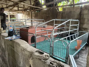 Farrowing Crates - Double Sow/Single