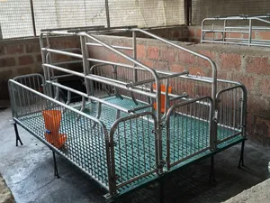 Farrowing Crates - Double Sow/Single