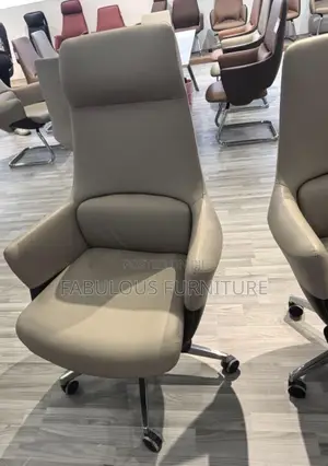 Imported Executive Office Chairs