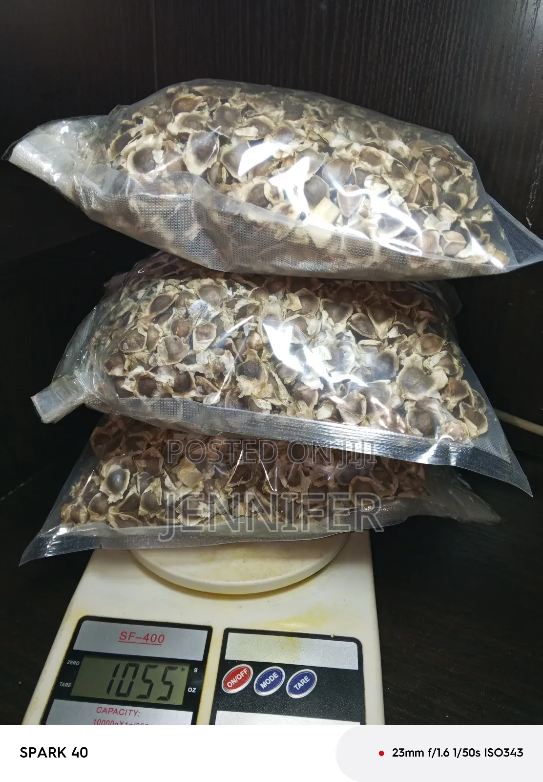 Moringa Seeds