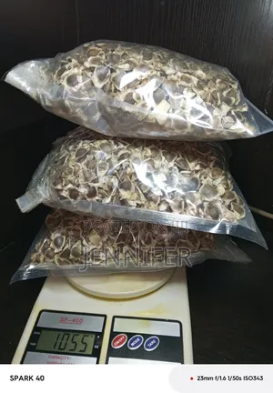 Moringa Seeds