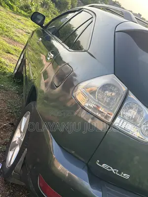 Lexus RX 350 2007 Gray