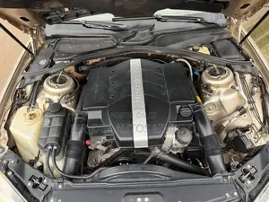 Mercedes-Benz S-Class 2010 Gold