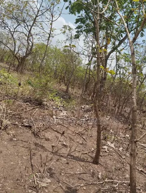 4000 Acres of Fertile Farmland at Ijio Town, Iwajowa Lg, Oyo State