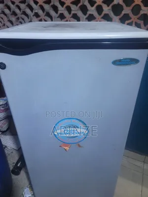 Haier Thermocool Fridgzer