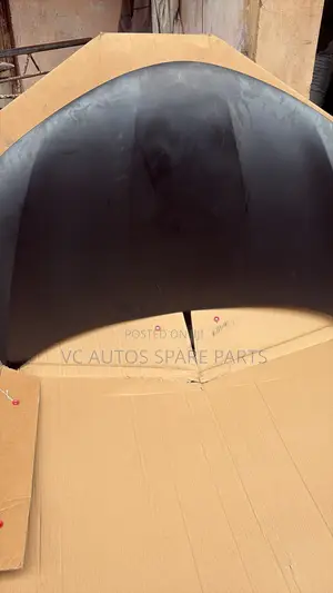 Rav4 2014 Bonnet