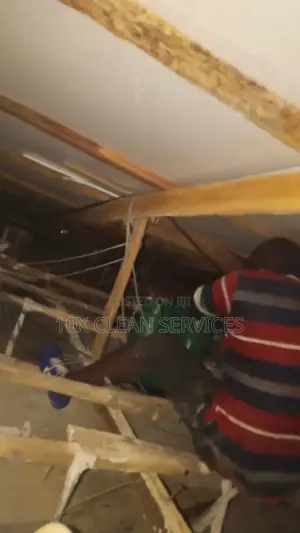 Roof Fumigation Against Termites, Snakes Rodents.Protect Ur Building
