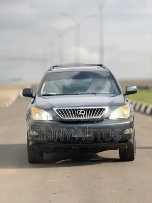 Lexus RX 2008 Gray