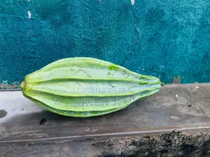 Mature Ugwu Seed Pod for Sale