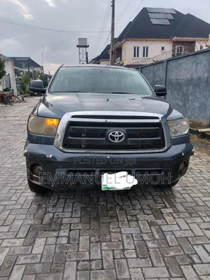 Toyota Tundra 2010 Gray