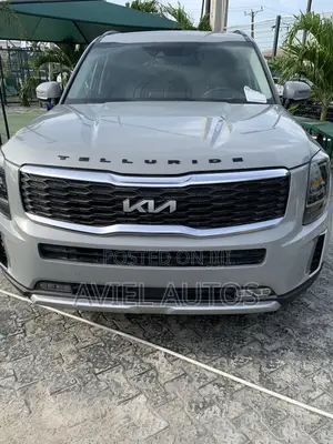 Kia Telluride 3.8 AWD 2020 Gray