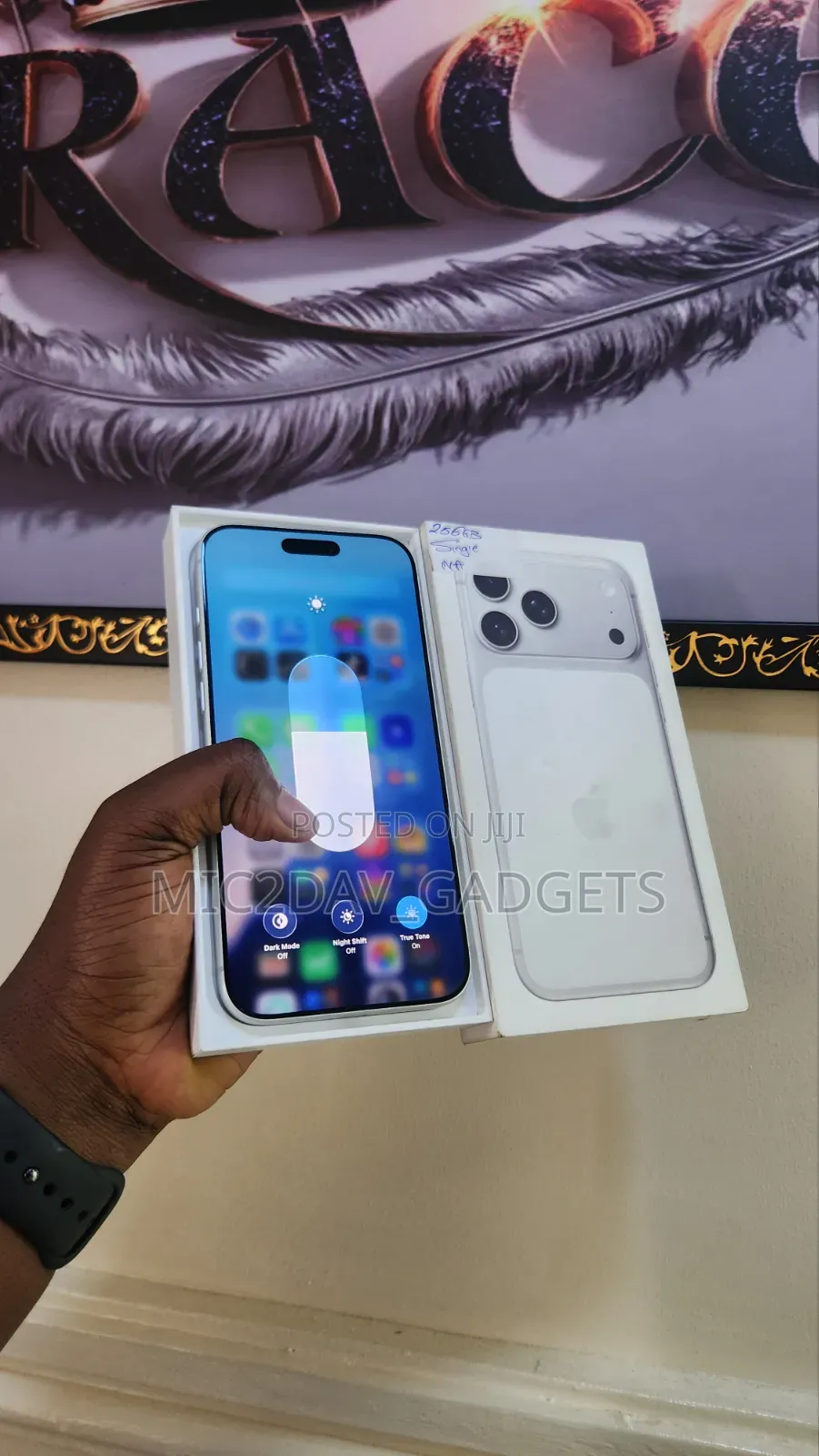 Apple iPhone 17 Pro Max 256 GB Silver