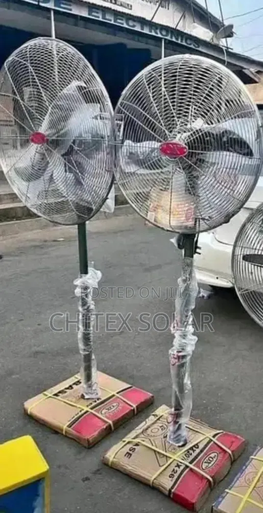 Standing Fan