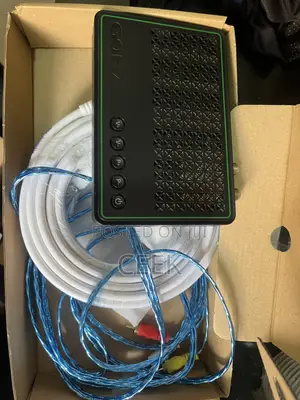 Gotv Kicks