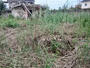 Corner Piece Land In A Gated Estate, Badore, Ajah