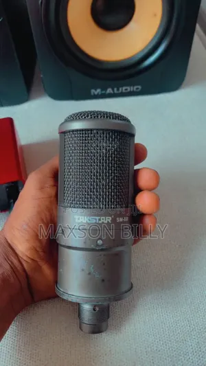 Takstar Mic