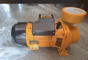 Ingco 1hp Surface Water Pump.