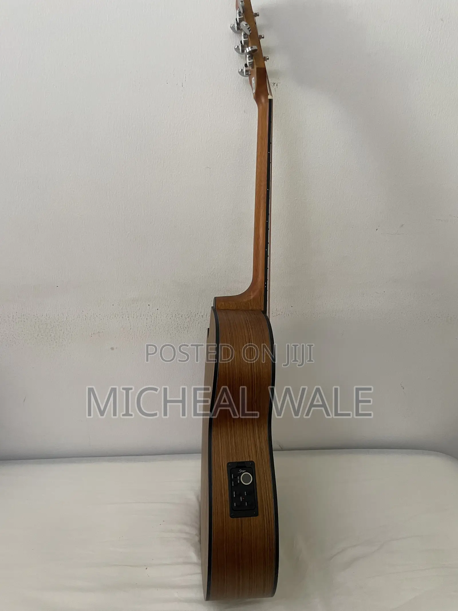 Smiger Semi Acoustic Guitar