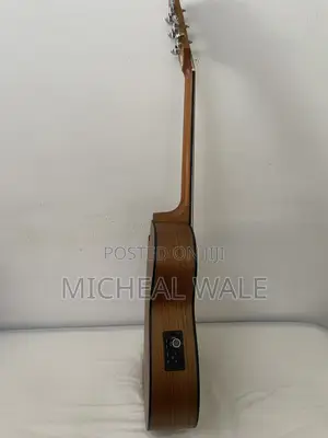 Smiger Semi Acoustic Guitar