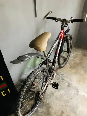 A Fairly Used Bicycle