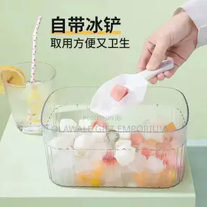 Ice Tray And Bowl