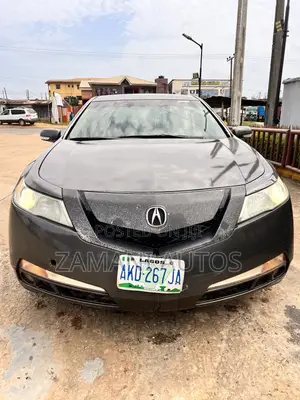 Acura TL 2010 Gray