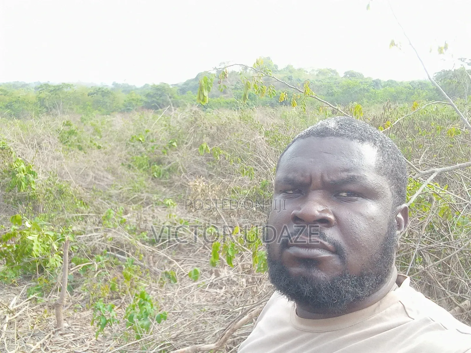 Farm Manager