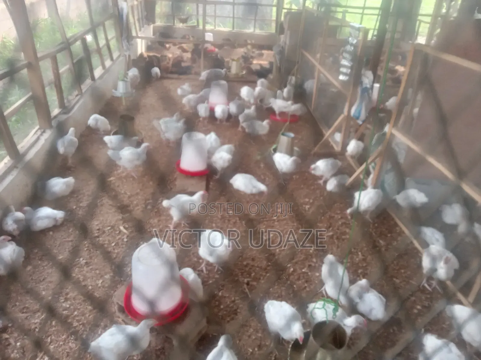 Farm Manager