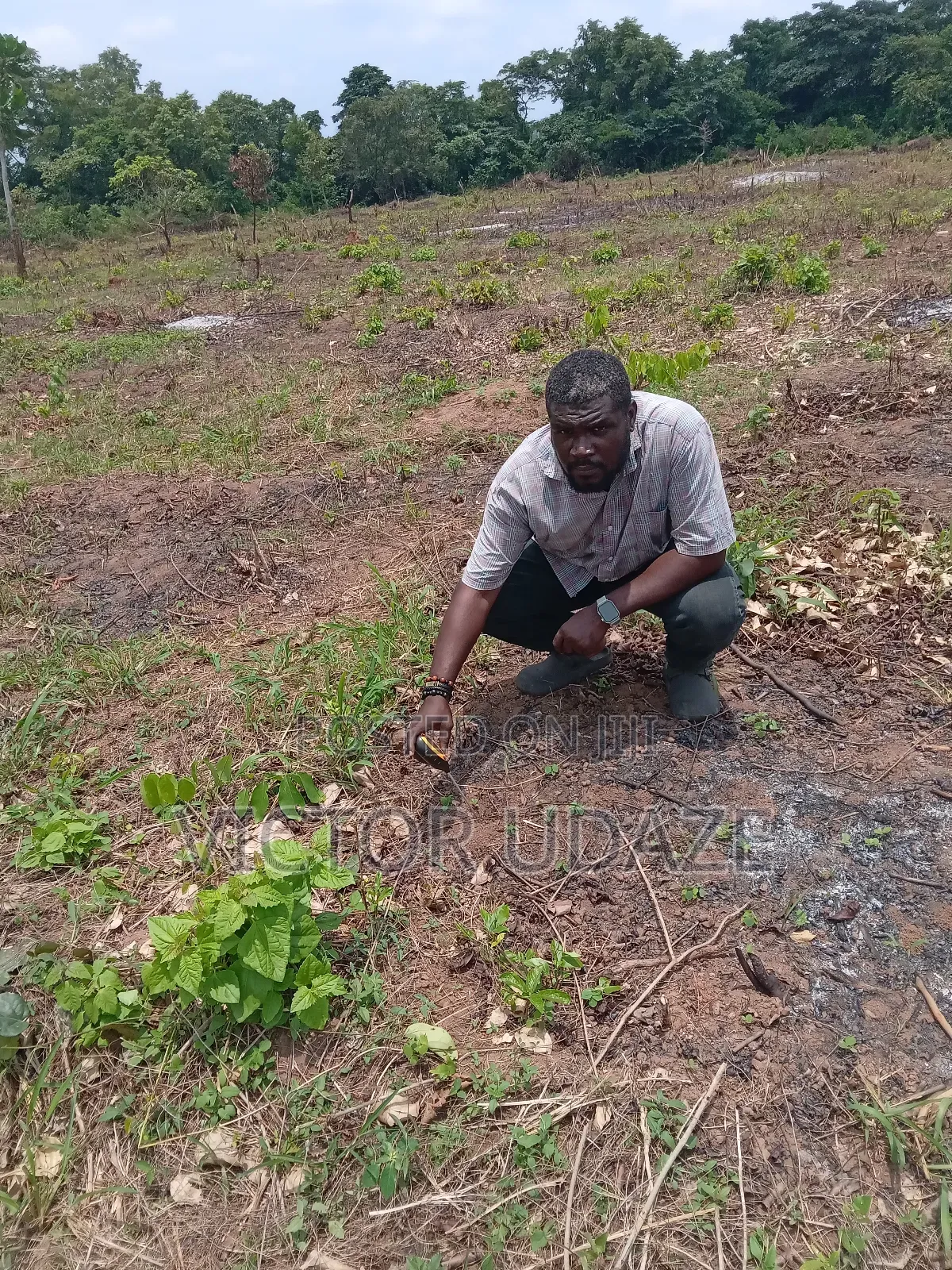 Farm Manager