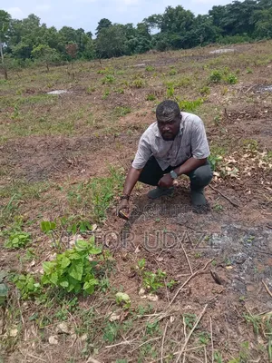 Farm Manager