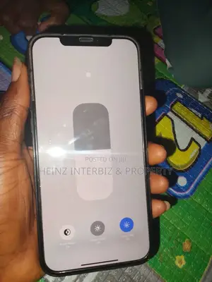 Apple iPhone 12 Pro Max 128 GB Gray