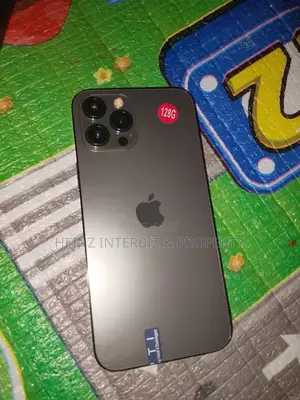Apple iPhone 12 Pro Max 128 GB Gray