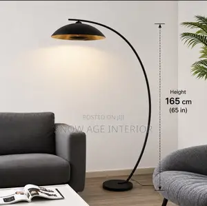 Modern Arc Dome Floor Lamp