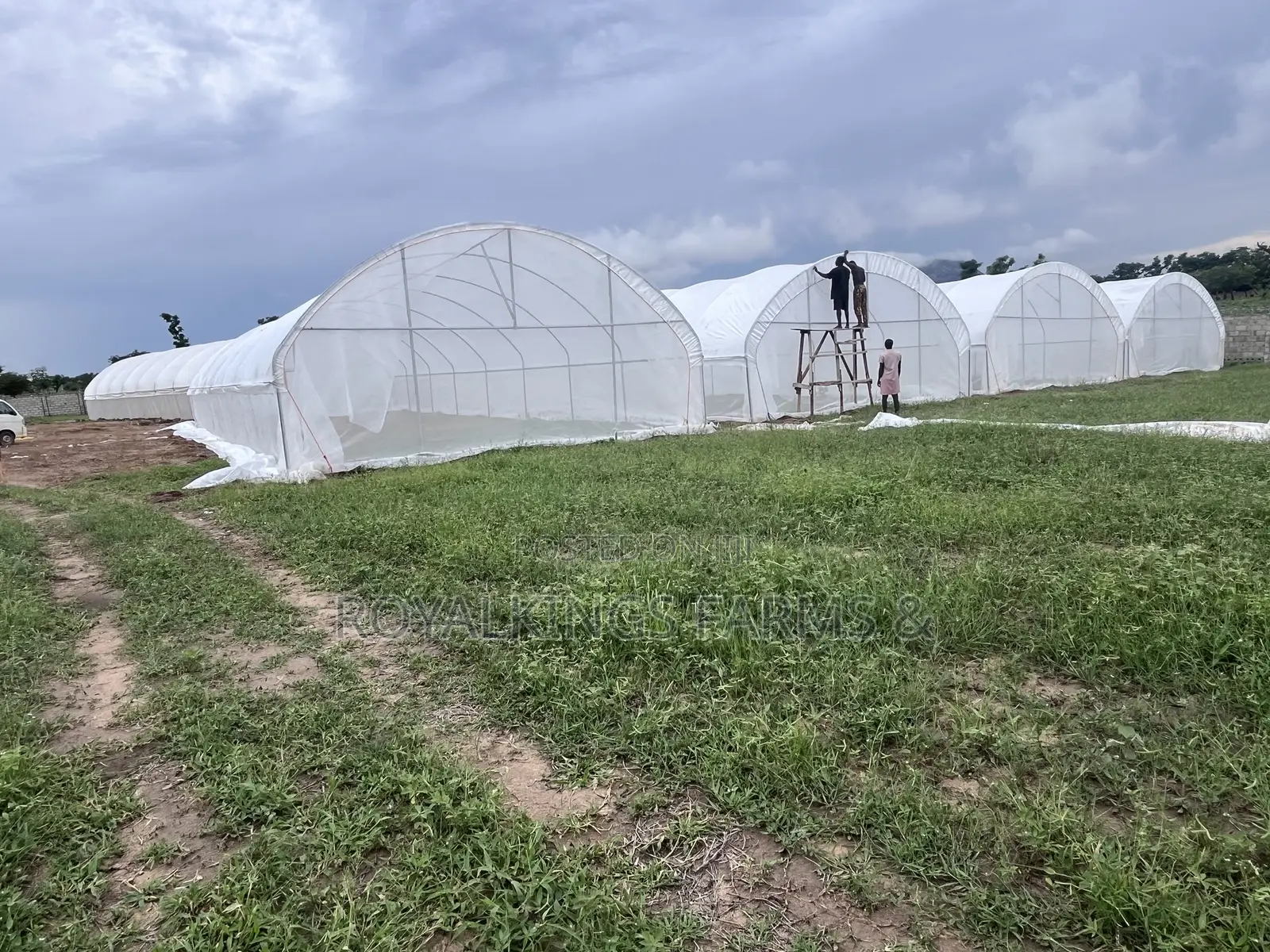 Greenhouse Installations