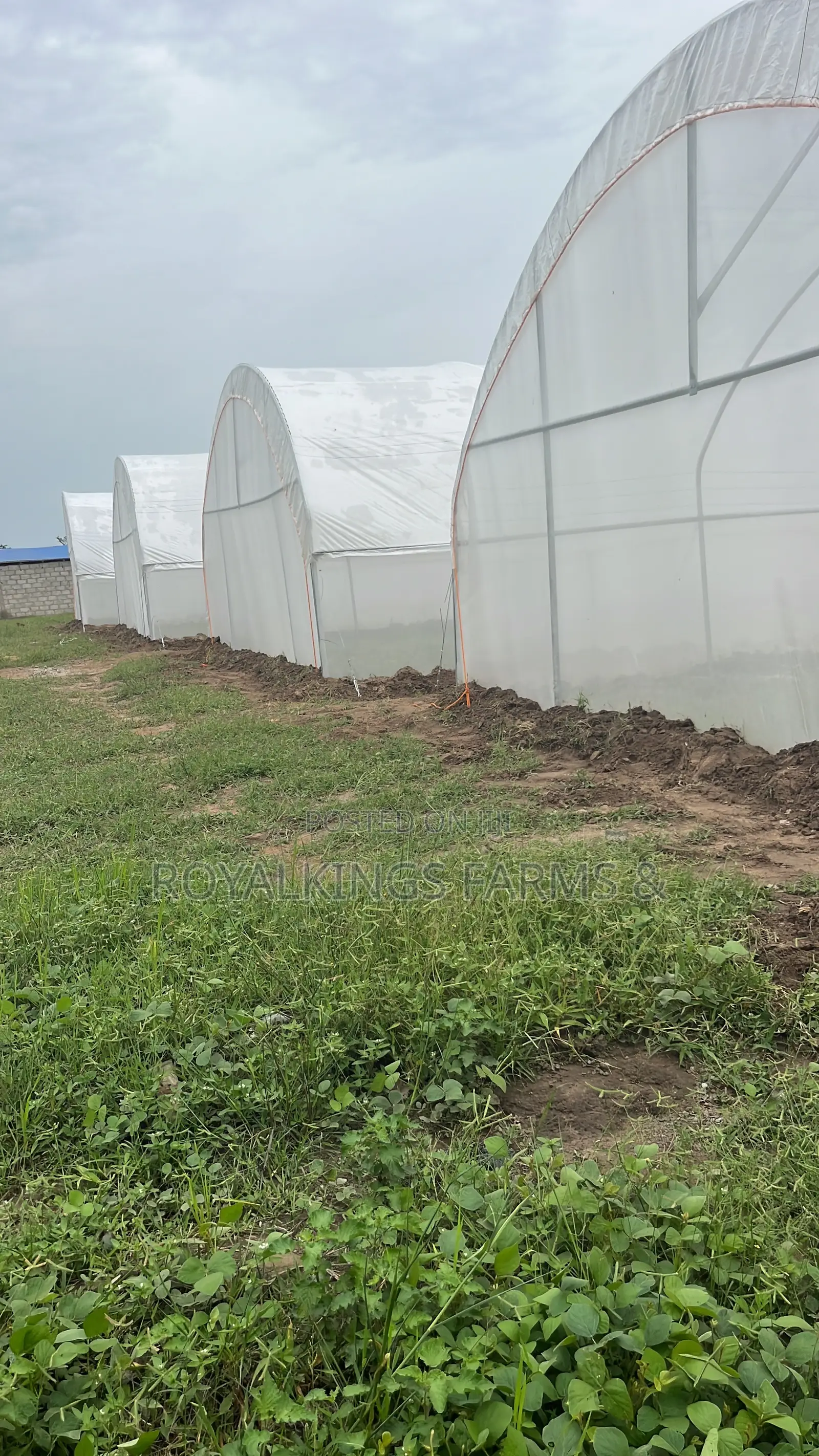 Greenhouse Installations